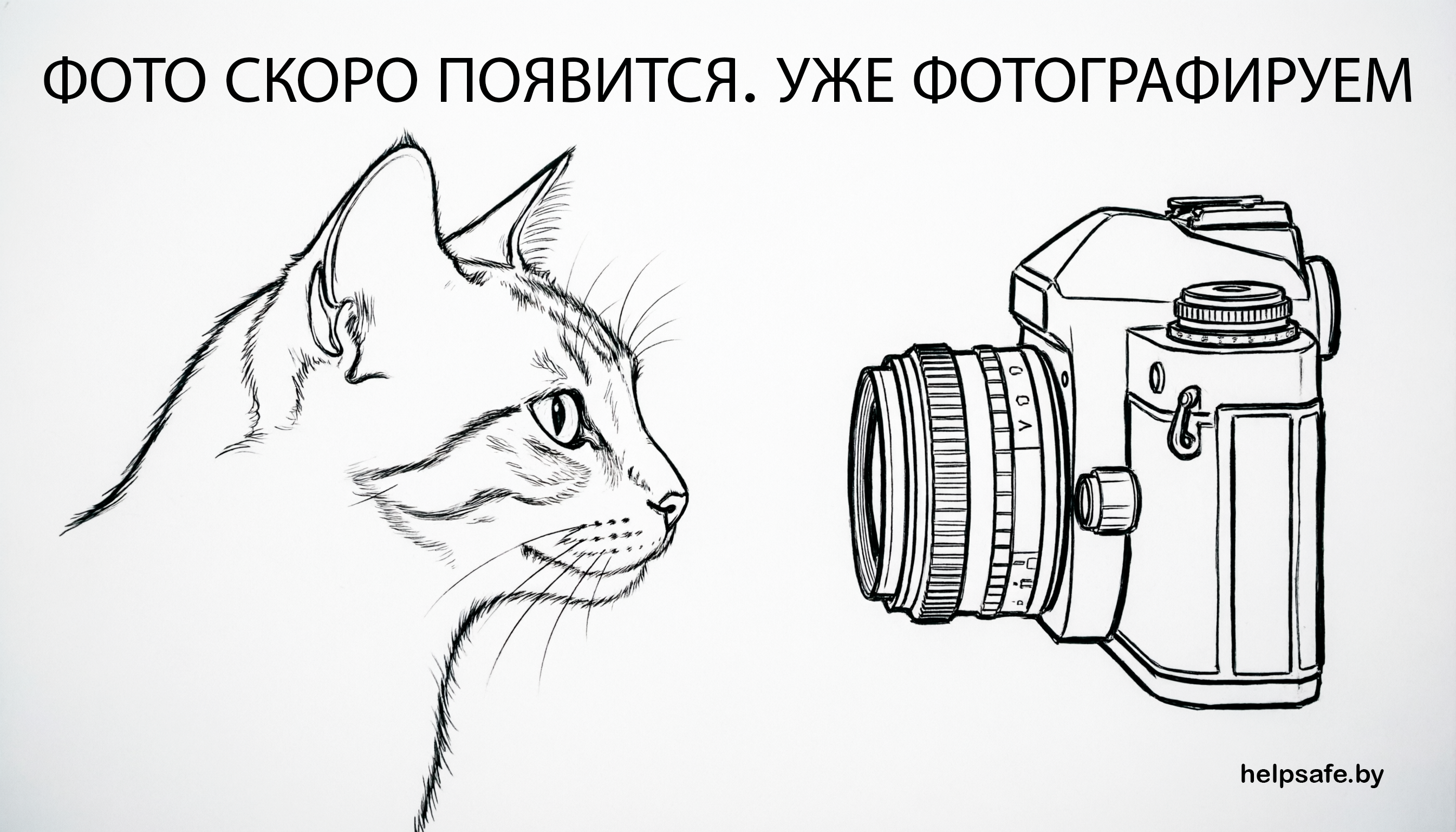Без изображения