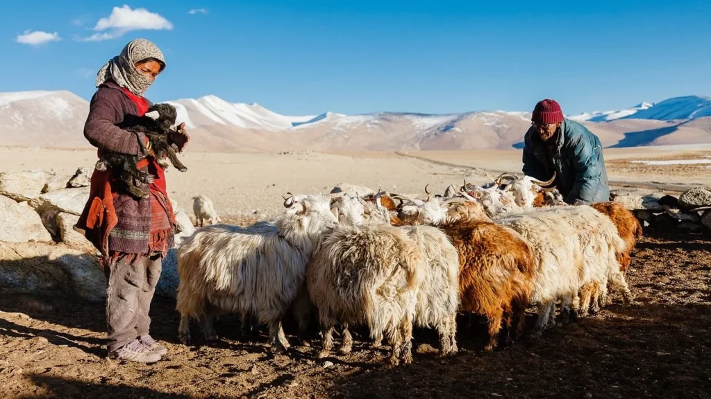 Как надо обращаться с животными с точки зрения Библии