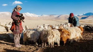 Как надо обращаться с животными с точки зрения Библии