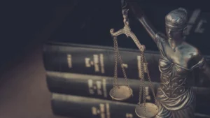 Закон № 361-З «Об ответственном обращении с животными»:  с 1 января 2025 года