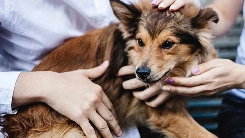 Закон нужен сейчас