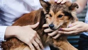 Закон нужен сейчас