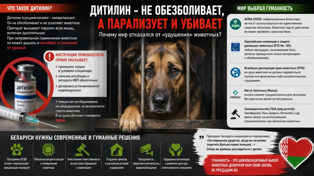 дитилин без контроля врача - ЯД!