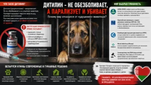 Осторожно дитилин!
