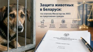Анализ ответа Министерства жилищно-коммунального хозяйства Республики Беларусь
