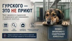 Гурского — это не приют!
