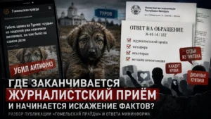 сальва туров
